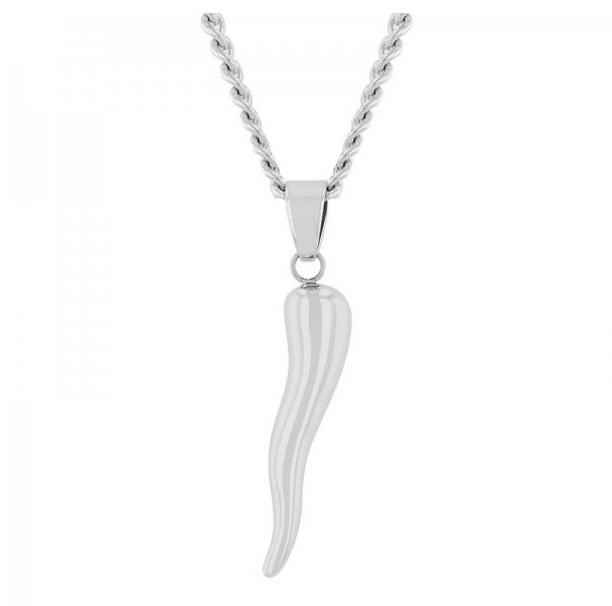 A stainless steel Italian horn pendant